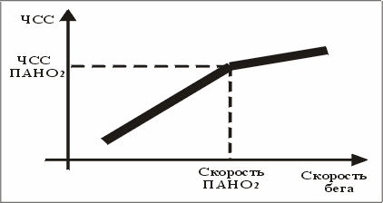 Chss11.gif (4591 bytes)