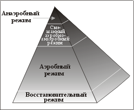 Pir1.gif (11268 bytes)