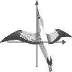 lf6rgtgh.gif (2246 bytes)