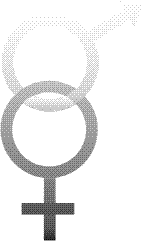 s234.gif (2165 bytes)