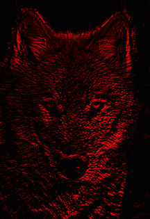 Volk1.gif (27291 bytes)